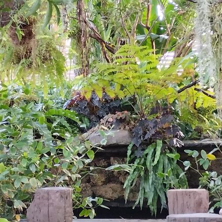 Sareeviengping Hotel Chiangmai Chiang Mai Bagian luar foto